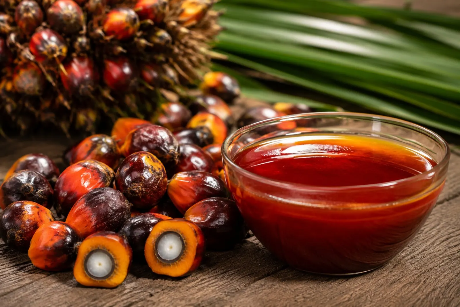 Palm fruits and crude palm oil — quality at the source